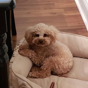 Meet your Posher, Cliff